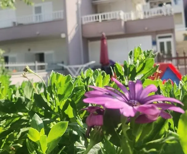 דירה Nessa & Meli *